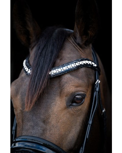 HB showtime Stockholm