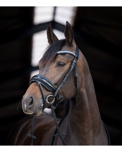 HB showtime Stockholm