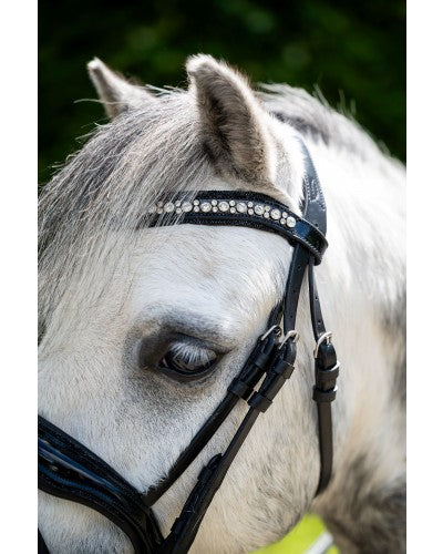 HB showtime Stockholm special A-pony