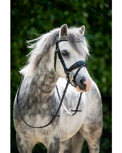 HB showtime Stockholm special A-pony