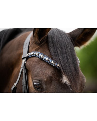 HB Showtime Las Vegas