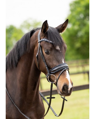 HB Showtime Las Vegas