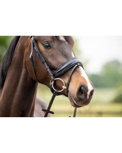 HB Showtime Las Vegas