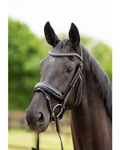 HB Showtime Las Vegas