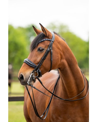 HB Showtime All You Needed