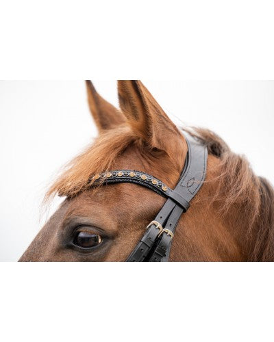 HB Showtime All You Needed