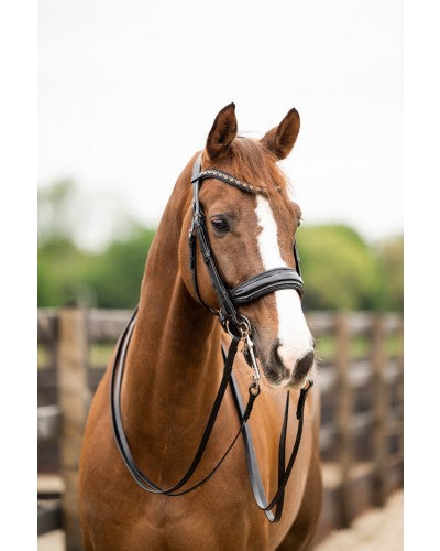 HB Showtime All You Needed