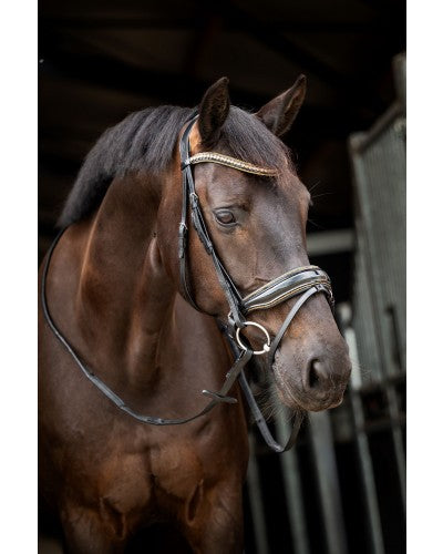 HB Showtime Golden Dreams