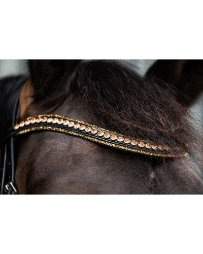 HB Showtime Golden Dreams