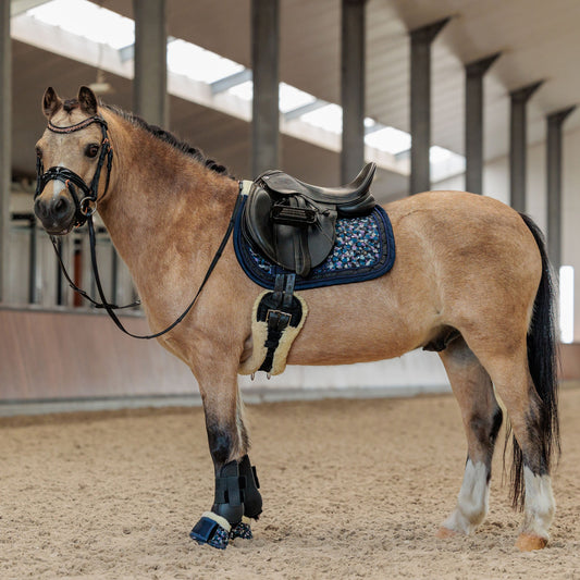 IRHpetit dekje pony