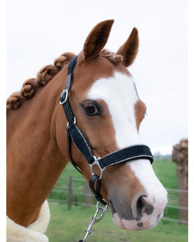 Showtime Velvet halsters little sizes glitter