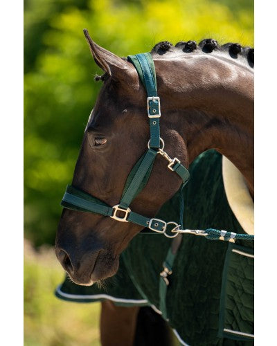 HB showtime Velvet halsterset