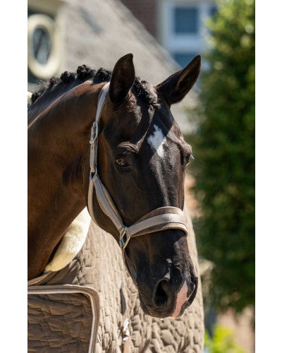 HB showtime Velvet halsterset