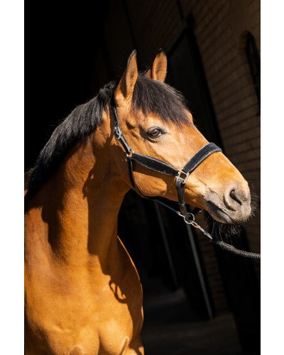 Uniquerider - Bilterweg 70, 3840 Borgloon, België. Contact: +32 479 284816, info@uniquerider.be. BTW-nummer: BE0806 653 780.