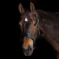 Uniquerider - Bilterweg 70, 3840 Borgloon, België. Contact: +32 479 284816, info@uniquerider.be. BTW-nummer: BE0806 653 780.