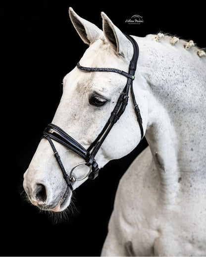 LJ Blue rock hoofdstel