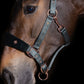 Uniquerider - Bilterweg 70, 3840 Borgloon, België. Contact: +32 479 284816, info@uniquerider.be. BTW-nummer: BE0806 653 780.