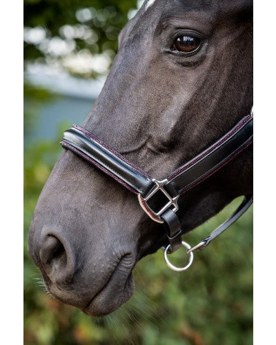 Uniquerider - Bilterweg 70, 3840 Borgloon, België. Contact: +32 479 284816, info@uniquerider.be. BTW-nummer: BE0806 653 780.