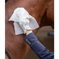 Horse whipes
