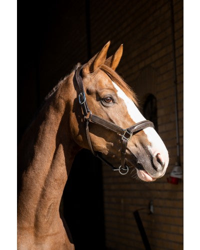 Uniquerider - Bilterweg 70, 3840 Borgloon, België. Contact: +32 479 284816, info@uniquerider.be. BTW-nummer: BE0806 653 780.