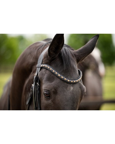 HB Showtime Las Vegas