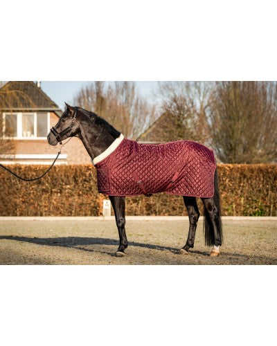 Uniquerider - Bilterweg 70, 3840 Borgloon, België. Contact: +32 479 284816, info@uniquerider.be. BTW-nummer: BE0806 653 780.