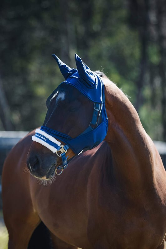 Uniquerider - Bilterweg 70, 3840 Borgloon, België. Contact: +32 479 284816, info@uniquerider.be. BTW-nummer: BE0806 653 780.