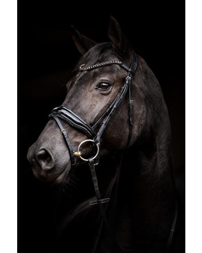 Uniquerider - Bilterweg 70, 3840 Borgloon, België. Contact: +32 479 284816, info@uniquerider.be. BTW-nummer: BE0806 653 780.