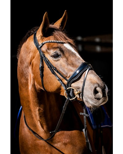 Uniquerider - Bilterweg 70, 3840 Borgloon, België. Contact: +32 479 284816, info@uniquerider.be. BTW-nummer: BE0806 653 780.