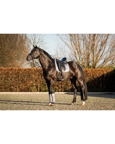 Uniquerider - Bilterweg 70, 3840 Borgloon, België. Contact: +32 479 284816, info@uniquerider.be. BTW-nummer: BE0806 653 780.