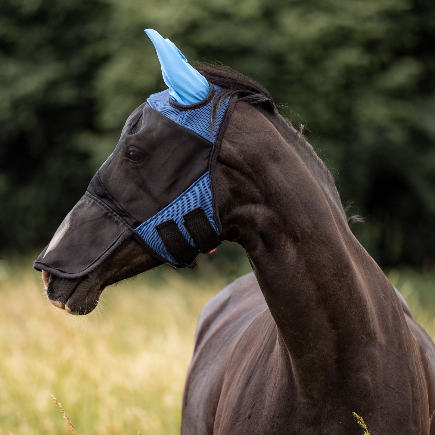 Uniquerider - Bilterweg 70, 3840 Borgloon, België. Contact: +32 479 284816, info@uniquerider.be. BTW-nummer: BE0806 653 780.