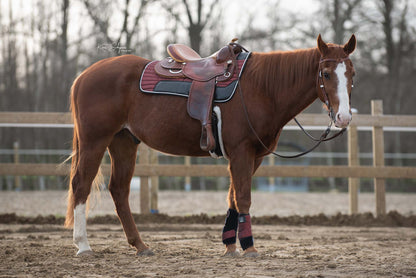 Uniquerider - Bilterweg 70, 3840 Borgloon, België. Contact: +32 479 284816, info@uniquerider.be. BTW-nummer: BE0806 653 780.