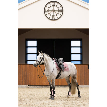 Uniquerider - Bilterweg 70, 3840 Borgloon, België. Contact: +32 479 284816, info@uniquerider.be. BTW-nummer: BE0806 653 780.