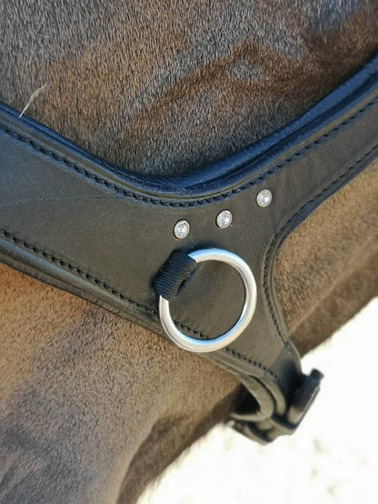 Uniquerider - Bilterweg 70, 3840 Borgloon, België. Contact: +32 479 284816, info@uniquerider.be. BTW-nummer: BE0806 653 780.