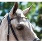 Uniquerider - Bilterweg 70, 3840 Borgloon, België. Contact: +32 479 284816, info@uniquerider.be. BTW-nummer: BE0806 653 780.