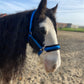 Uniquerider - Bilterweg 70, 3840 Borgloon, België. Contact: +32 479 284816, info@uniquerider.be. BTW-nummer: BE0806 653 780.