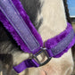 Uniquerider - Bilterweg 70, 3840 Borgloon, België. Contact: +32 479 284816, info@uniquerider.be. BTW-nummer: BE0806 653 780.